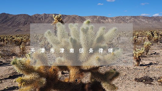 天津市津南债务律师 天津市津南债务律师