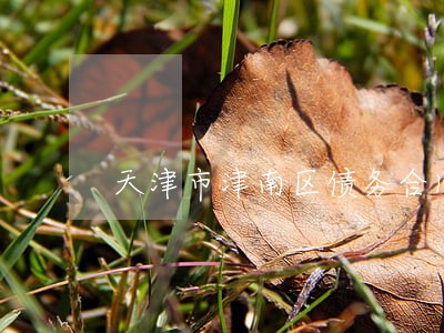 天津市津南区债务合同律师事务所 天津市津南区债务合同律师事务所