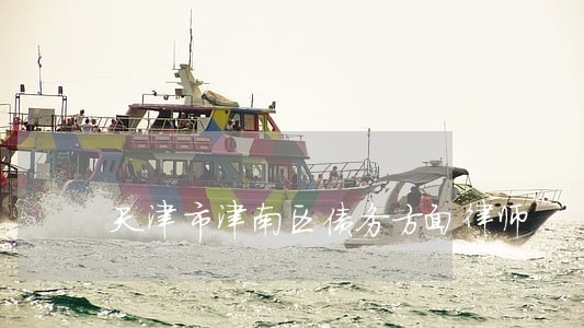 天津市津南区债务方面律师 天津市津南区债务方面律师