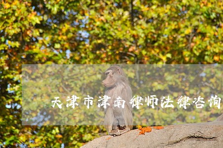 天津市津南律师法律咨询 天津市津南律师法律咨询