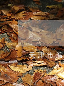 天津市滨海债务债权律师 天津市滨海债务债权律师