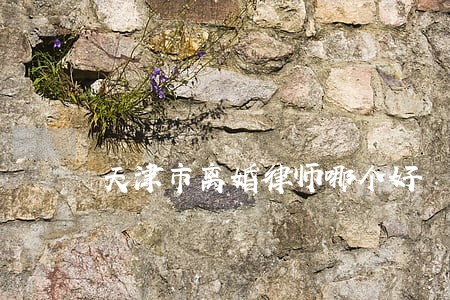 天津市离婚律师哪个好 天津市离婚律师哪个好