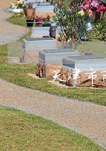 天津市离婚律师所 天津市离婚律师所