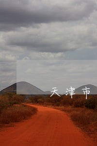 天津市第三执行庭地址