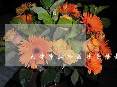 天津市红桥区债务债权律师事务所