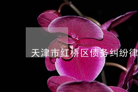 天津市红桥区债务纠纷律师事务所 天津市红桥区债务纠纷律师事务所