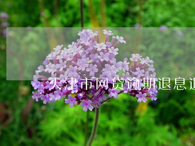 天津市网贷逾期退息退保服务费用 天津市网贷逾期退息退保服务费用