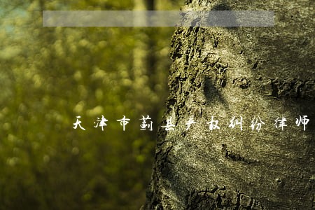 天津市蓟县产权纠纷律师 天津市蓟县产权纠纷律师
