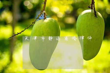 天津市静海离婚律师