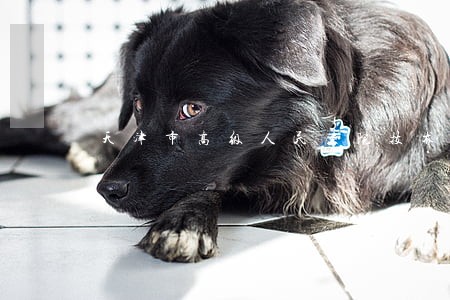 天津市高级人民法院技术处 天津市高级人民法院技术处