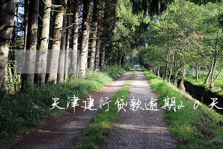 天津建行贷款逾期20天 天津建行贷款逾期20天