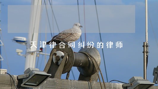 天津律合同纠纷的律师 天津律合同纠纷的律师