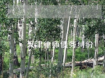 天津律师债务纠纷 天津律师债务纠纷