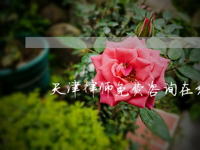 天津律师免费咨询在线 天津律师免费咨询在线