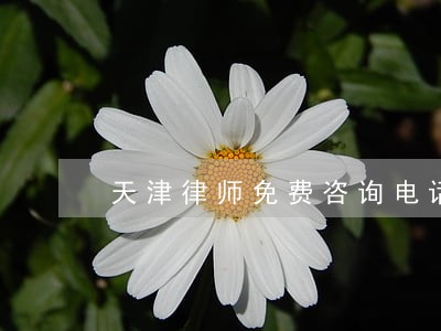天津律师免费咨询电话