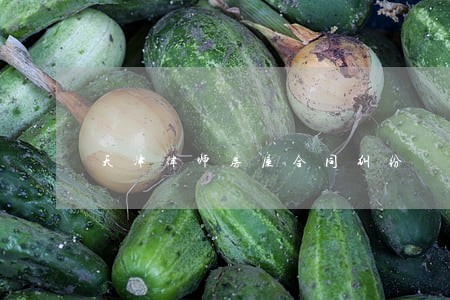 天津律师房屋合同纠纷 天津律师房屋合同纠纷