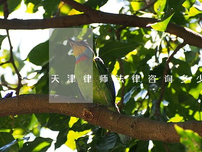天津律师法律咨询多少钱 天津律师法律咨询多少钱