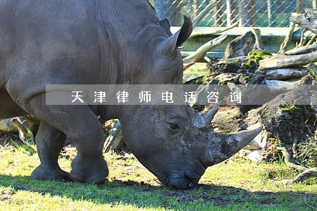 天津律师电话咨询 天津律师电话咨询