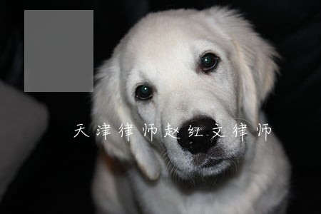 天津律师赵红文律师 天津律师赵红文律师
