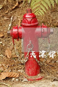 天津律师预约 天津律师预约