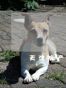 天津房产律师费用多少 天津房产律师费用多少