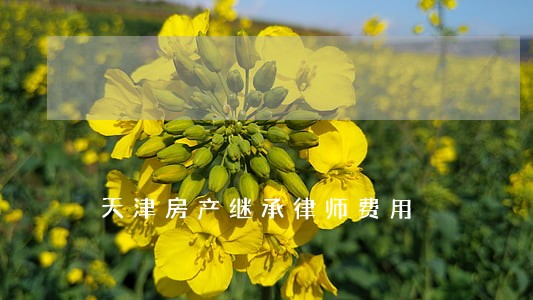 天津房产继承律师费用 天津房产继承律师费用