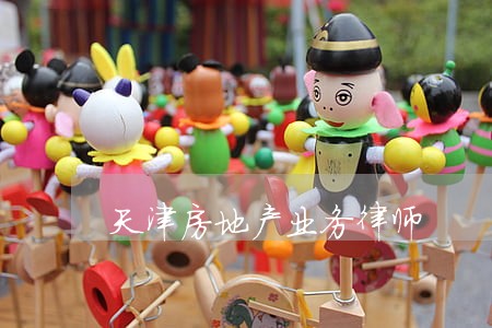 天津房地产业务律师 天津房地产业务律师