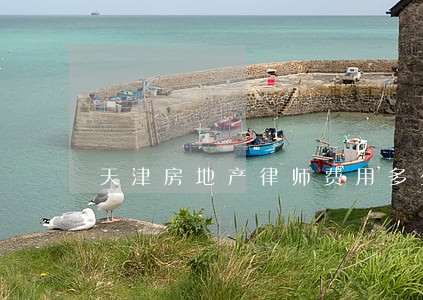 天津房地产律师费用多少 天津房地产律师费用多少