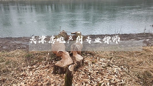 天津房地产纠专业律师 天津房地产纠专业律师