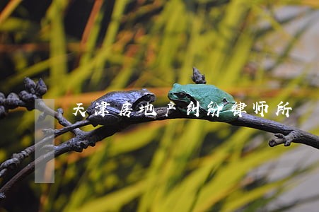 天津房地产纠纷律师所 天津房地产纠纷律师所
