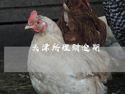 天津所理财逾期