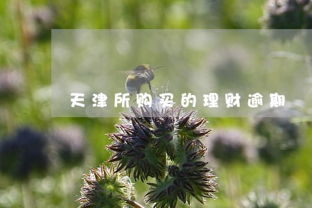 天津所购买的理财逾期 天津所购买的理财逾期