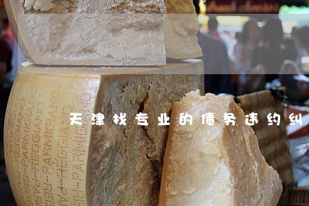天津找专业的债务违约纠纷律师 天津找专业的债务违约纠纷律师