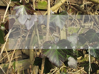 天津找债务律师联系方式 天津找债务律师联系方式