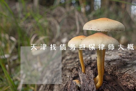 天津找债务担保律师大概多少钱 天津找债务担保律师大概多少钱