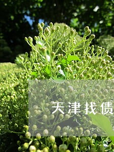 天津找债务担保律师找谁好