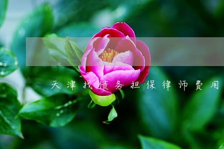 天津找债务担保律师费用多少