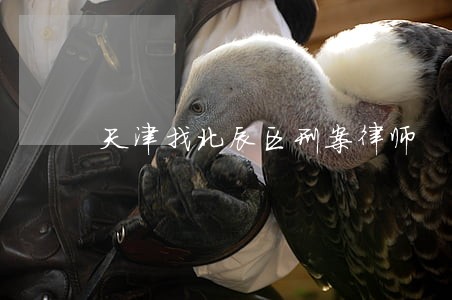 天津找北辰区刑案律师 天津找北辰区刑案律师