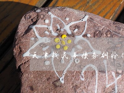 天津找民事债务纠纷律师 天津找民事债务纠纷律师