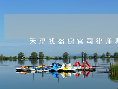 天津找盗窃官司律师哪个好 天津找盗窃官司律师哪个好