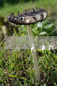 天津找离婚股权纠纷律师推荐 天津找离婚股权纠纷律师推荐