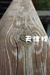 天津找股权律师预约电话