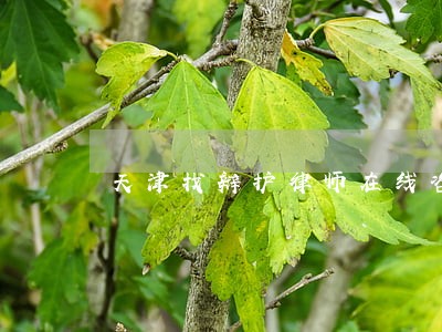 天津找辩护律师在线咨询 天津找辩护律师在线咨询