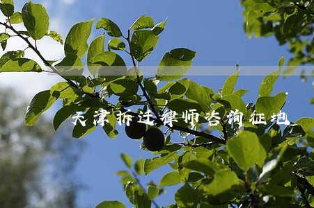 天津拆迁律师咨询征地 天津拆迁律师咨询征地