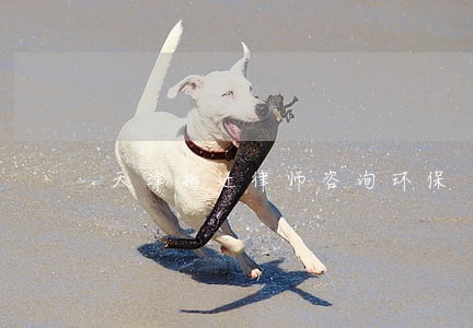 天津拆迁律师咨询环保 天津拆迁律师咨询环保