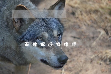 天津拆迁找律师 天津拆迁找律师
