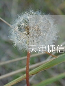 天津捷信逾期60天 天津捷信逾期60天