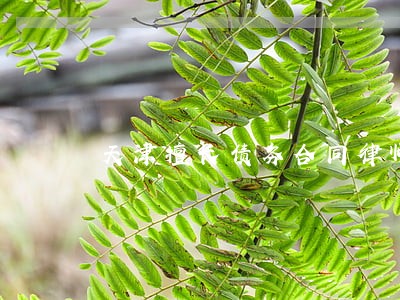 天津擅长债务合同律师 天津擅长债务合同律师
