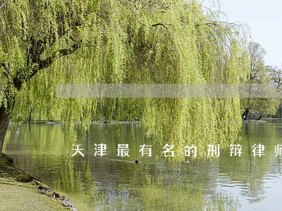 天津最有名的刑辩律师 天津最有名的刑辩律师