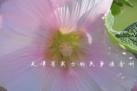 天津有实力的民事债务纠纷律师